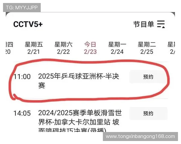 深圳乒乓球队在世界杯预选赛中的精彩表现与实力分析 深圳乒乓球队在世界杯预选赛中的精彩表现与实力分析