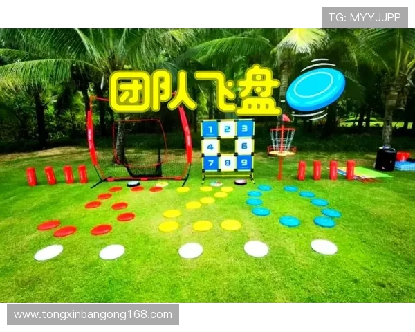 西安飞盘队的耐力革命与飞盘运动的热潮探讨