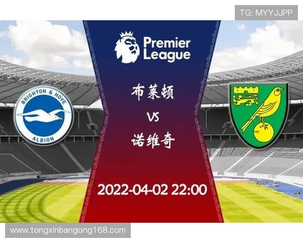 布莱顿与诺维奇对决前瞻分析及比赛结果预测