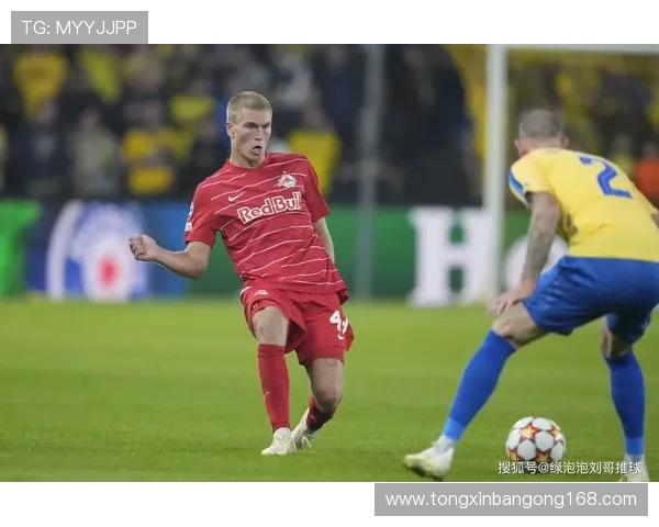 斯威士兰与突尼斯对决前瞻分析及比赛结果预测