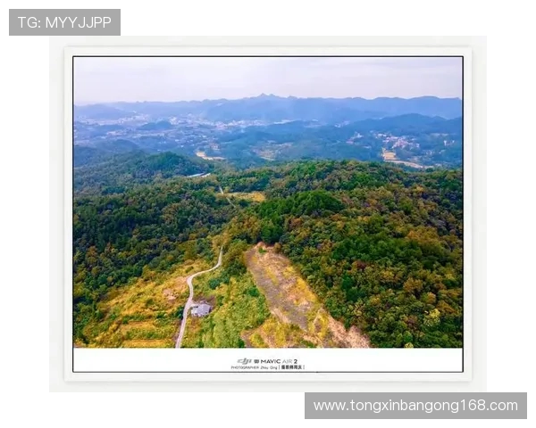 雷法山口与岗山的对决探秘山脉之美与自然奇观的碰撞