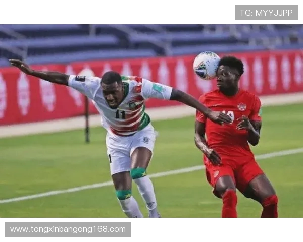 韩国与墨西哥比赛犯规数据分析及影响因素探讨