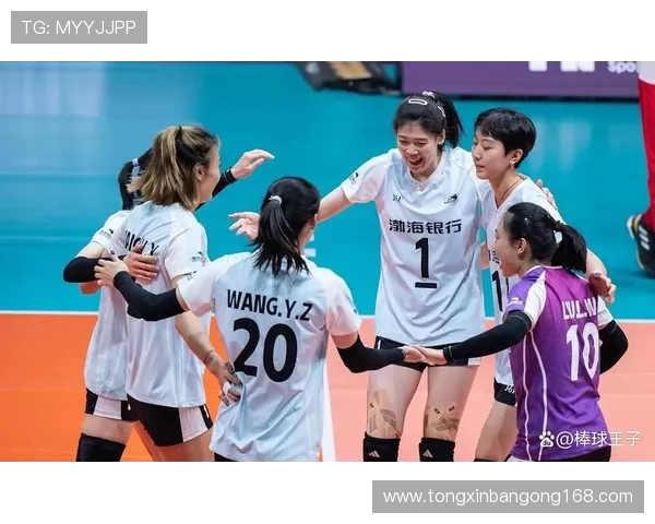 重庆排球队的辉煌与挑战：深入分析球队状态与未来展望