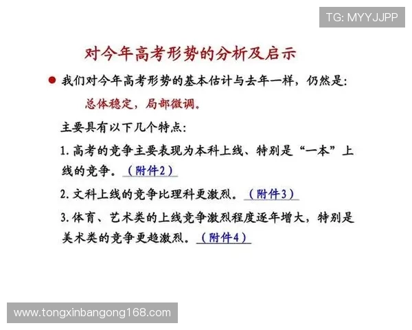 南京羽毛球队在杯赛中的团队协作表现分析与启示