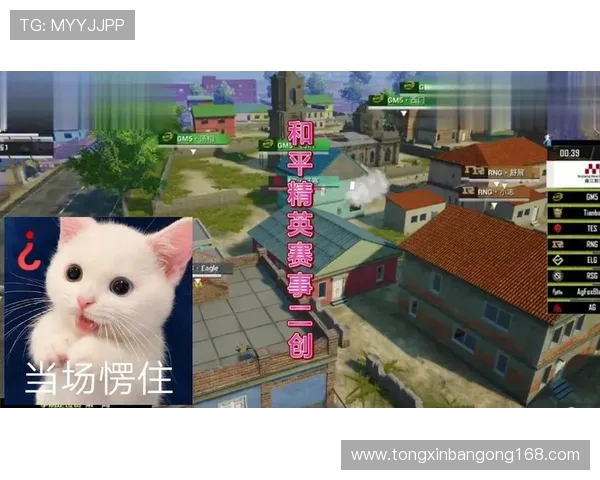 和平精英评论：TES中路突破的成功与不足分析探讨